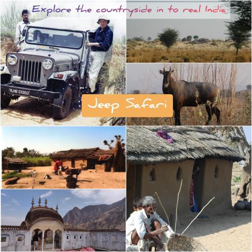 a collage of photos with a jeep safari at Tourist Pension in Nawalgarh