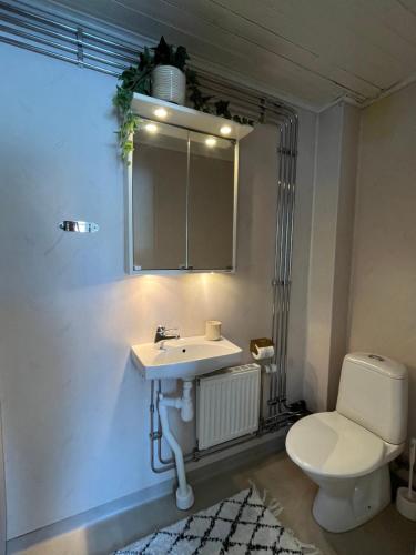 a bathroom with a toilet and a sink and a mirror at Stuga i centrala Älvdalen in Älvdalen