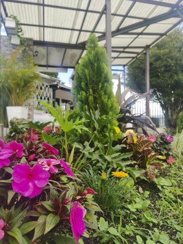 a bunch of flowers in a garden at VILLA ALEJANDRA - Hermosa FINCA cerca al centro - Sendero - Jacuzzi in Popayan