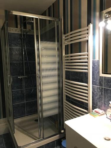 une douche en verre dans une salle de bain avec un lavabo dans l'établissement Maison de gardien , manoir de Pichemont, » la maison des écureuils », à Harcanville