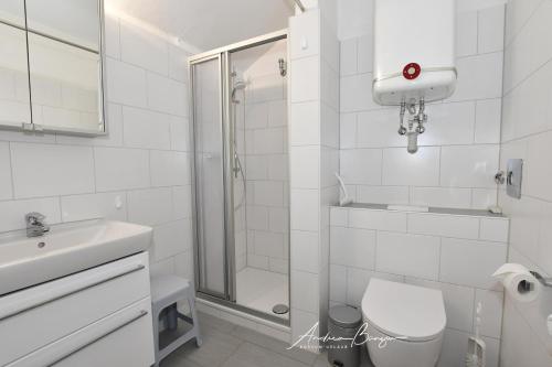 a white bathroom with a toilet and a shower at Olde-Baas in Borkum