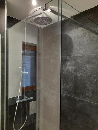 ein Bad mit einer Dusche und einer Glastür in der Unterkunft Le Grand Ravel in Weismes