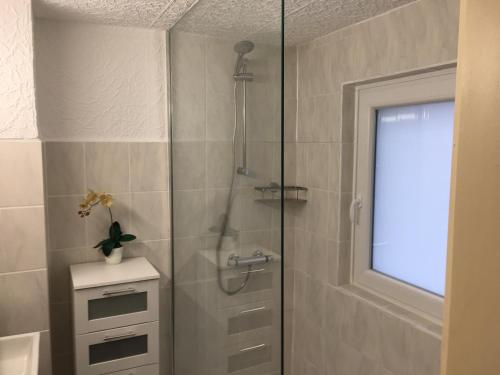 a bathroom with a shower with a glass door at Haus am Fluss mit wunderschöner Dachterrasse mit Flussblick ,Garten und Grill in Zorge