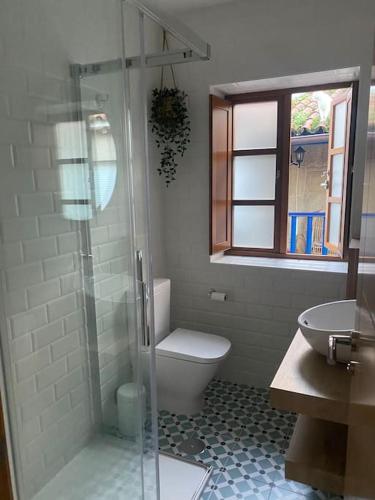 a bathroom with a shower and a toilet and a sink at A casiña de Luz in Pontevedra