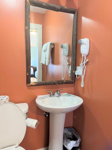a bathroom with a sink and a mirror and a toilet at Mountain Top Inn and Resort in Warm Springs