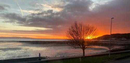 a sunset over a body of water with a tree at Oyster Cottage in The Mumbles