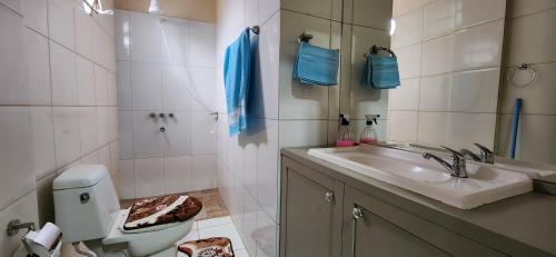 a bathroom with a sink and a toilet and a mirror at Casa duplex en Área 4 CDE in Ciudad del Este
