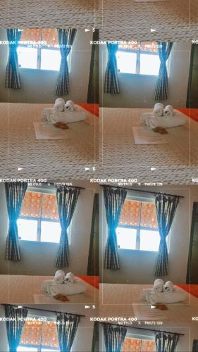 a collage of four pictures of a blue shower curtain at Pouso do Elefante in Serra do Cipo