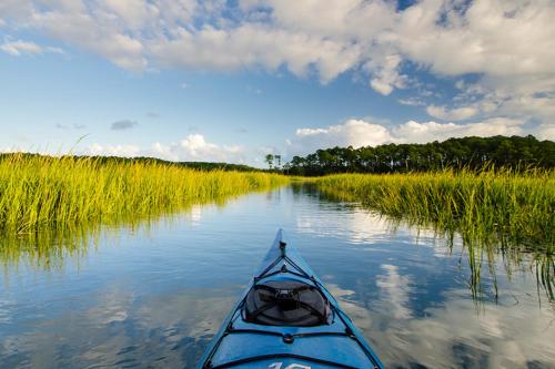 Naturlandskabet i nærheden af feriehuset