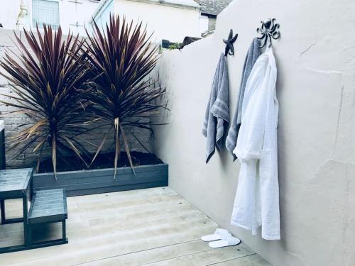 a towel hanging on a wall with a plant at Spa Cottage Weymouth in Weymouth