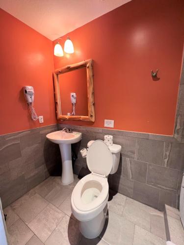 a bathroom with a toilet and a sink at Mountain Top Inn and Resort in Warm Springs