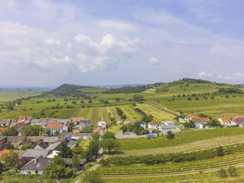 a small town in the hills with vineyards at Weingut & Gästehaus zum Seeblick - Familie Sattler in Jois
