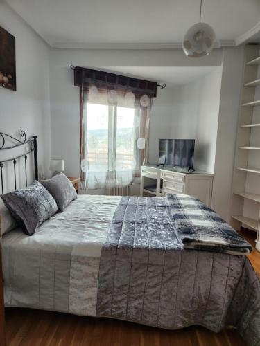 1 dormitorio con 1 cama grande y TV en Estudio con vistas a la ciudad, en Ourense