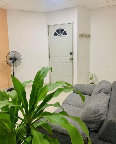 uma sala de estar com um sofá e uma planta em Casa Daniel confortable em Palenque