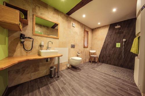 uma casa de banho com um lavatório e um WC em Le Domaine du Verger, Chambres et SPA prive em Osenbach
