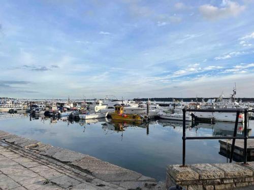 un grupo de barcos atracados en un puerto en The Nook - Cosy coastal retreat near Sandbanks, en Poole