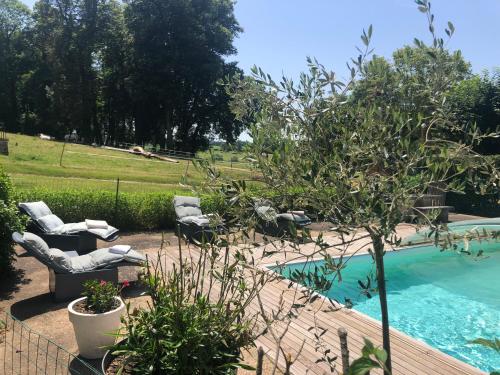un jardin avec une piscine, des chaises et un arbre dans l'établissement Château de SURY, à Saint-Jean-aux-Amognes