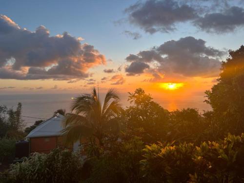 einen Sonnenuntergang über dem Meer mit einem Haus und Bäumen in der Unterkunft "SunRise Inn" Nature Island Dominica 