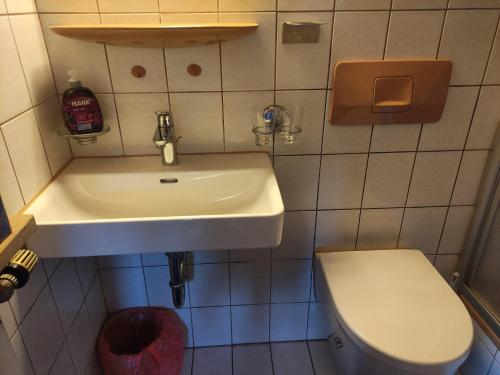 a bathroom with a sink and a toilet at Landhaus Graßmann in Piding