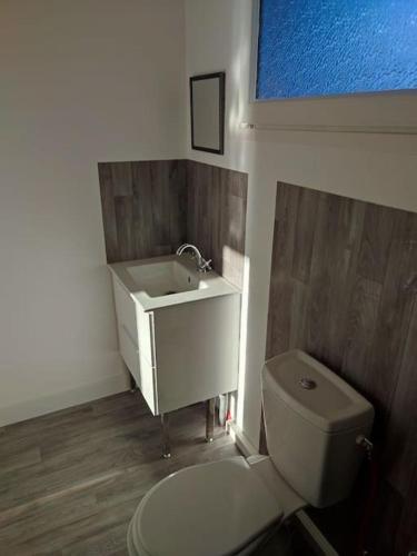 La salle de bains est pourvue d'un lavabo et de toilettes. dans l'établissement Le petit chalet d'Audenge, à Audenge