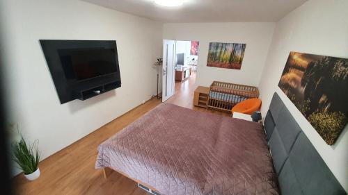 een woonkamer met een bank en een flatscreen-tv bij Luxury apartment in beautiful small town in Nový Jičín