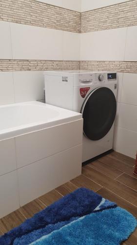 uma lavandaria com uma máquina de lavar roupa e um tapete azul em Luxury apartment in beautiful small town em Nový Jičín