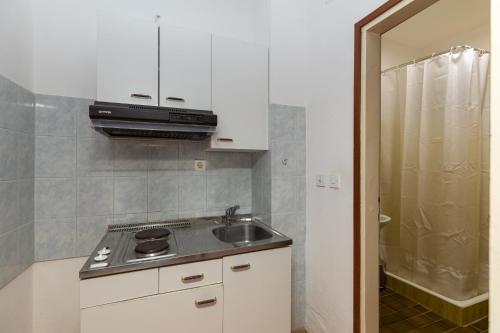 Kuchyň nebo kuchyňský kout v ubytování Apartment Zdravka