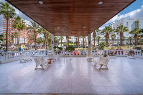 732 New Sea View Studio Las Americas +WIFI