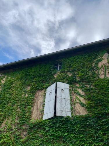 un bâtiment recouvert de lierre vert et doté d'une fenêtre. dans l'établissement Chambres d'hôtes proche d'Epinal, Vosges 88270, à Madonne-et-Lamarey