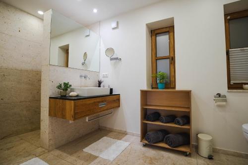ein Bad mit einem Waschbecken und einem Spiegel in der Unterkunft Naturhaus Luminus in Bad Aibling