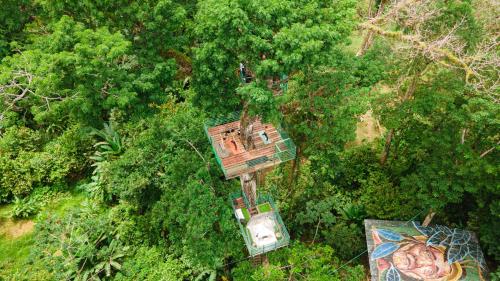 an overhead view of a tree house in the forest at The Green Jungle & Tree House Caribe in Puerto Viejo