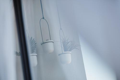two potted plants are hanging from a window at Departamento Vista Nova Culiacán in Casas