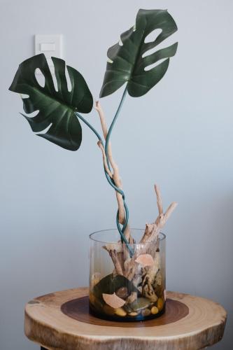 a plant in a glass vase on a wooden table at Departamento Vista Nova Culiacán in Casas