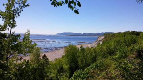a view of a beach with trees and water at La Nef Bleue in Tadoussac