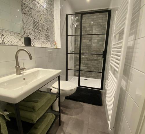 een badkamer met een wastafel, een toilet en een douche bij Landgoed Julianahoeve in Helenaveen