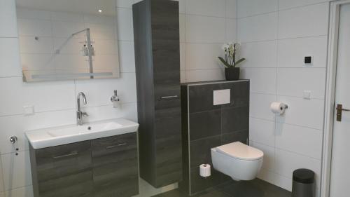 een witte badkamer met een wastafel en een toilet bij Groot familiehuis voor 6 personen in landelijke, rustige omgeving in Breezand