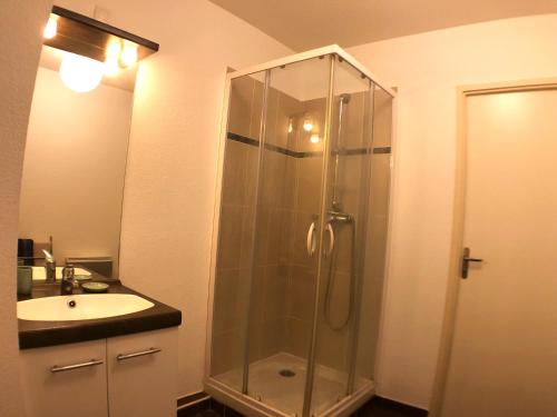 a bathroom with a shower and a sink at La Robine - Studio 2 personnes avec parking in Narbonne