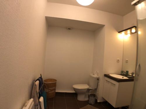 a small bathroom with a toilet and a sink at La Robine - Studio 2 personnes avec parking in Narbonne