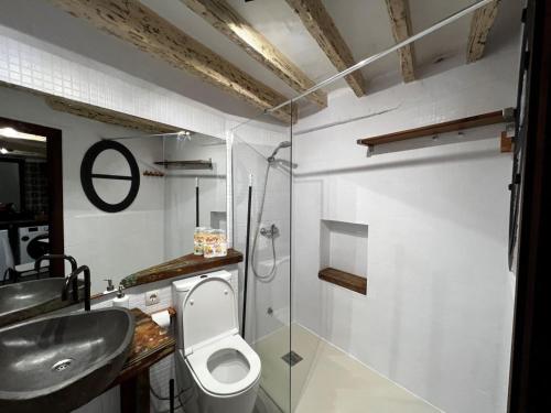 uma casa de banho com um lavatório, um WC e um chuveiro em Paella flat old town Alicante em Alicante