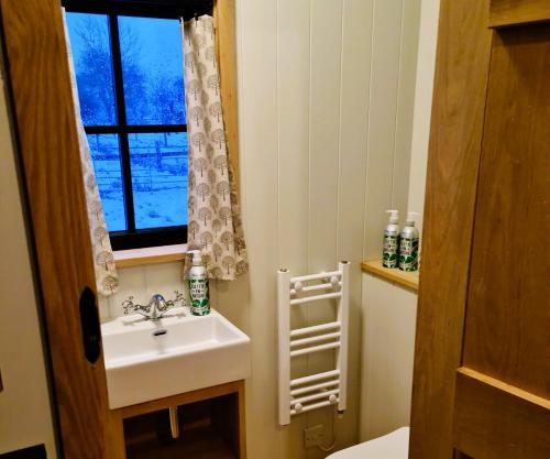 a bathroom with a sink and a window at Milberry Green Meadows in Warlingham