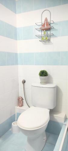 a bathroom with a toilet with a plant on it at NATASIA STUDIOS in Skala Eresou