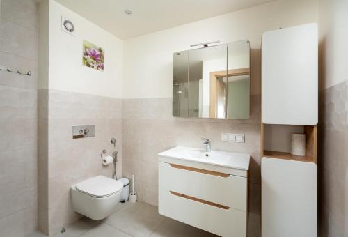 ein Badezimmer mit einem WC, einem Waschbecken und einem Spiegel in der Unterkunft Apartament Albatros 75m z ogródkiem in Warschau