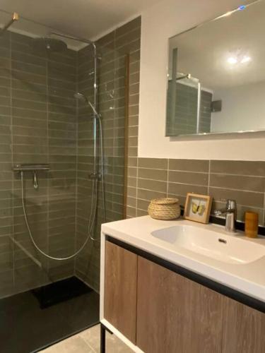 a bathroom with a shower and a sink and a mirror at De Keizerskroon 240 in Julianadorp