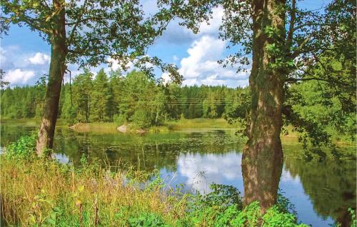 a view of a lake with trees in the foreground at Stunning Home In Vimmerby With Wifi in Vimmerby