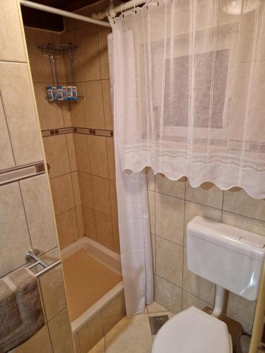 un piccolo bagno con doccia e WC di Juliana House a Križanče