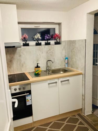 Η κουζίνα ή μικρή κουζίνα στο Apartment Malti