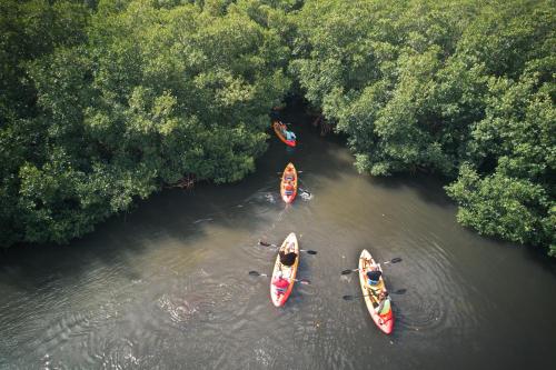a group of three kayaks in a river with trees at South Coast Horizon in Curtain Bluff
