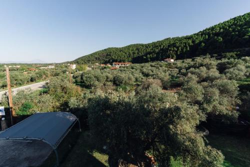 Gallery image of Family Villas in Vourvourou