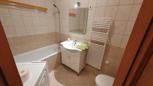 ein Badezimmer mit einem Waschbecken, einem WC und einem Spiegel in der Unterkunft Princess and Prince Apartman in Budapest