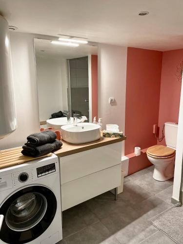 une salle de bain avec un lavabo et une machine à laver dans l'établissement Le Rémois studio cosy hyper centre, à Reims